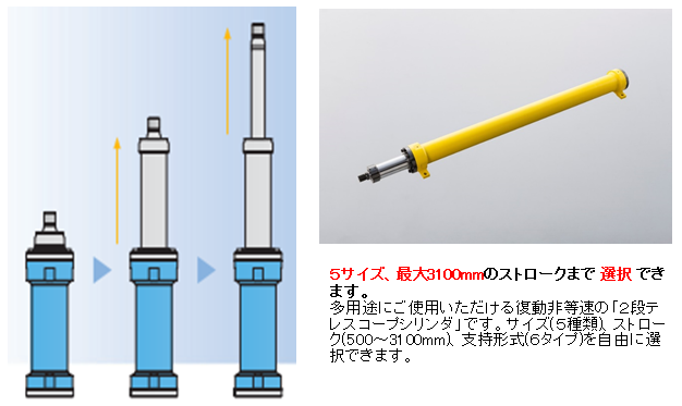 5サイズ